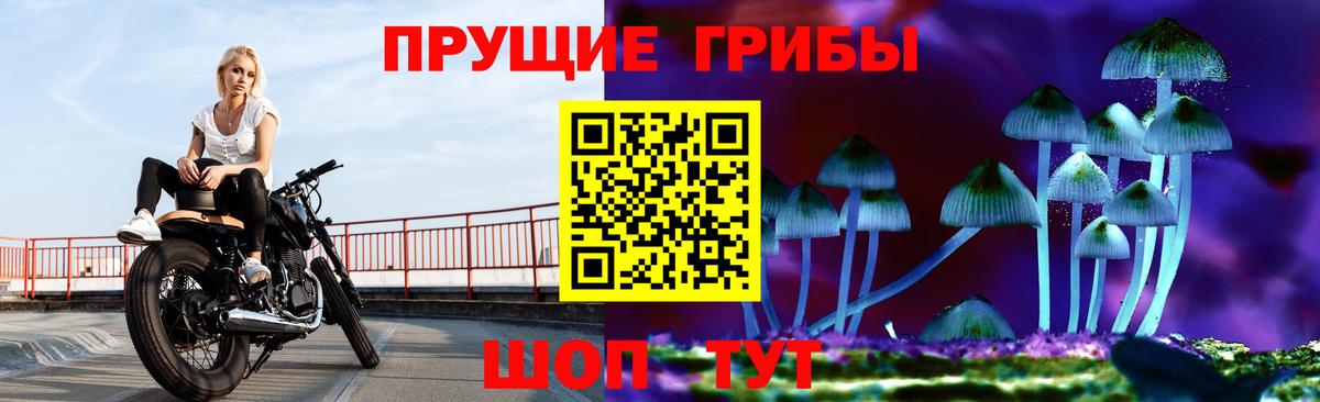 Сосновый Бор  Галлюциногенные грибы ЛСД  Вход с VPN 