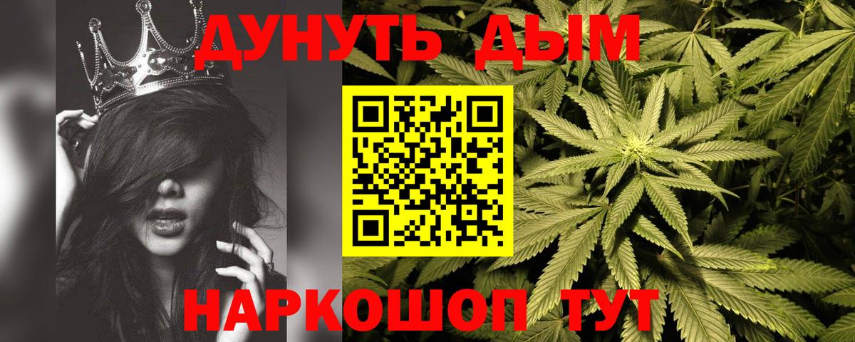 МАРИХУАНА сатива Сосновый Бор